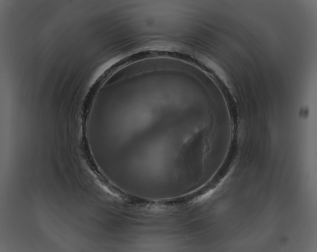 X0000091640829200708231156