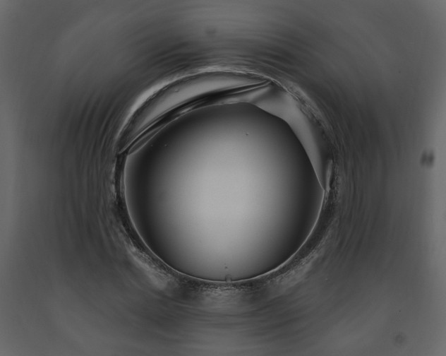 X0000091640830200708231156