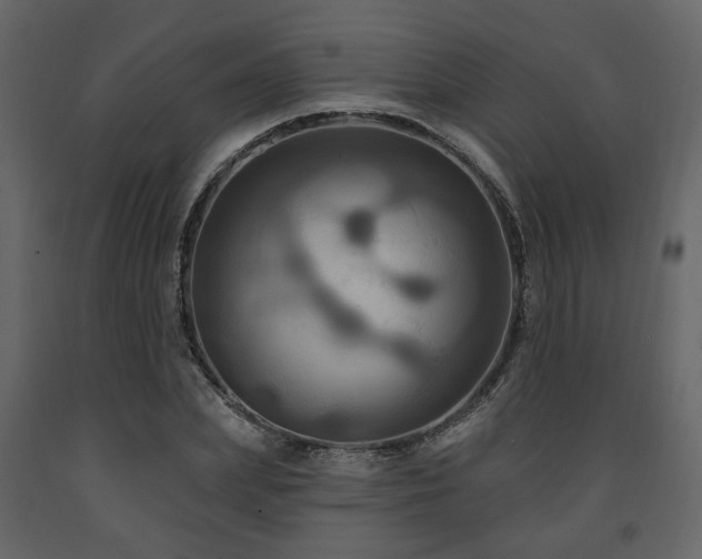 X0000091640831200708231156