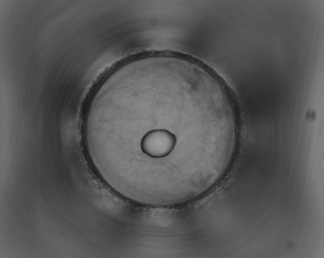 X0000091640832200708231156