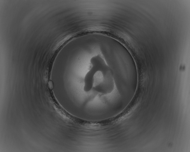 X0000091640833200708231156