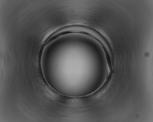 X0000091640834200708231156