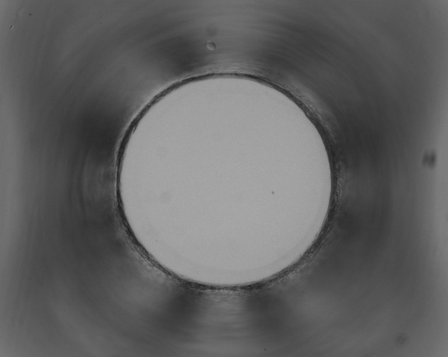 X0000091640836200708231156