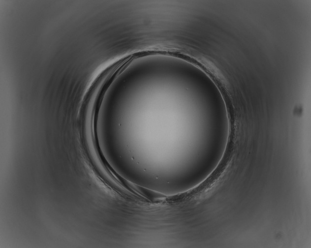 X0000091640838200708231156