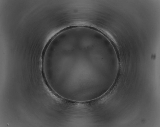 X0000091640839200708231156
