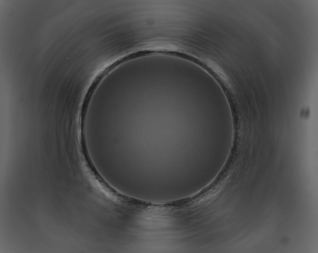 X0000091640840200708231156