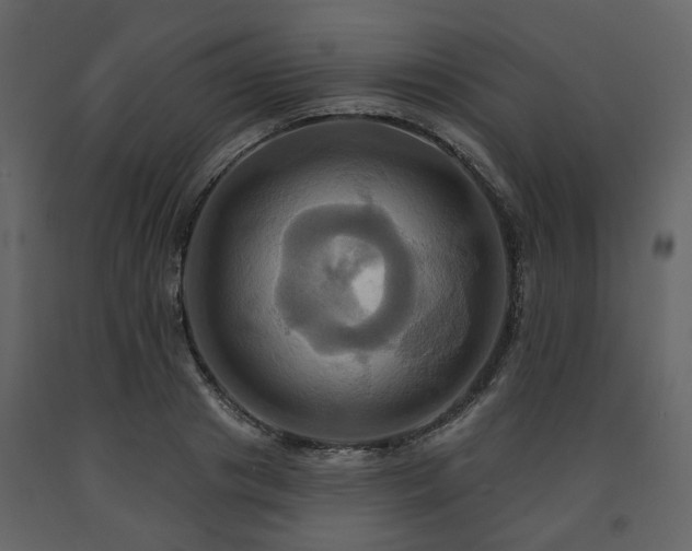 X0000091640841200708231156