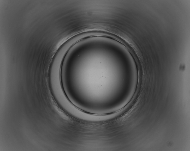 X0000091640842200708231156