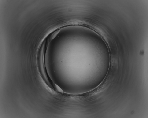 X0000091640843200708231157