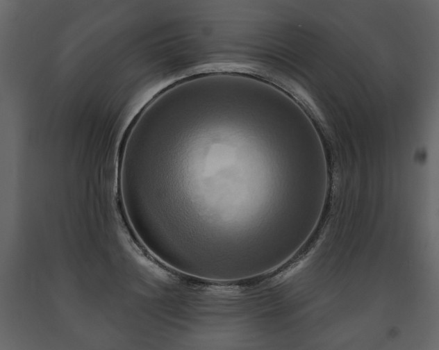 X0000091640844200708231157
