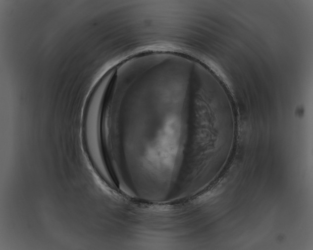 X0000091640845200708231157