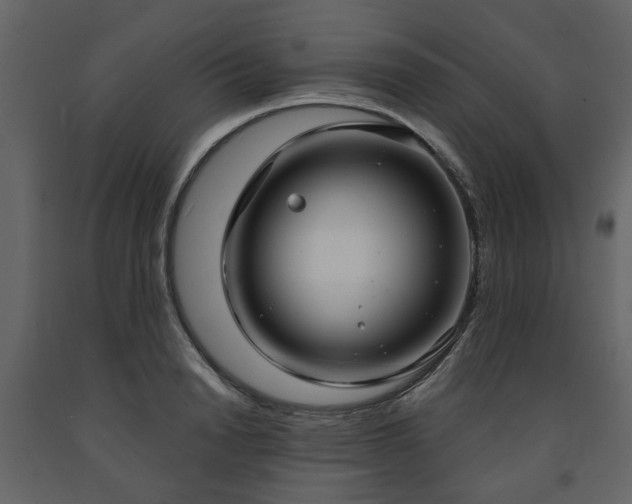 X0000091640846200708231157
