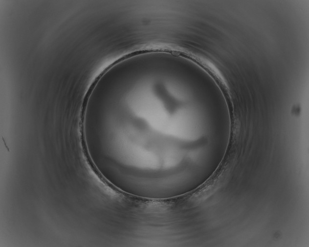 X0000091640847200708231157