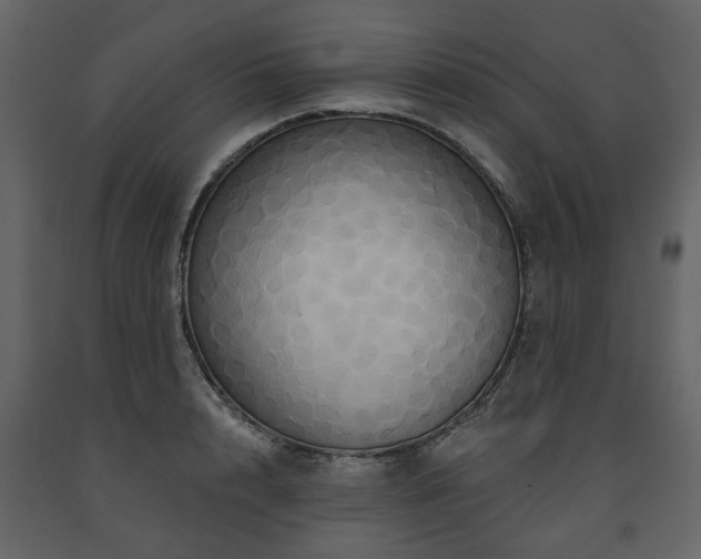 X0000091640848200708231157