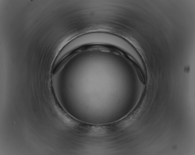 X0000091640850200708231157