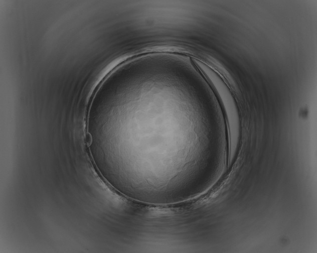 X0000091640852200708231157