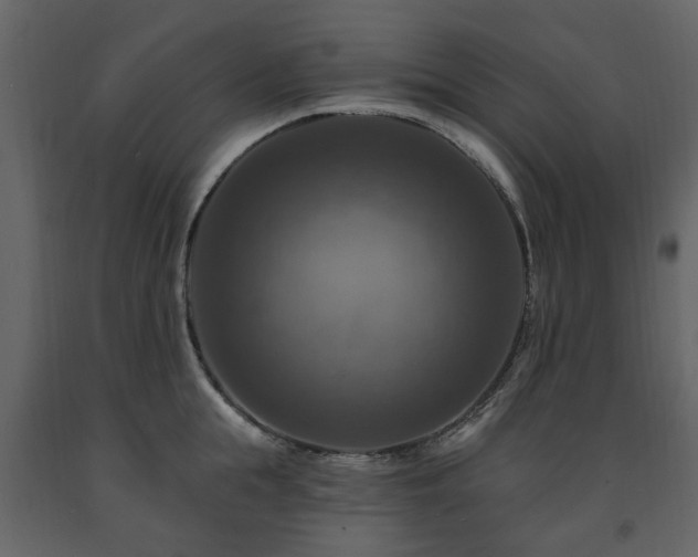 X0000091640855200708231157