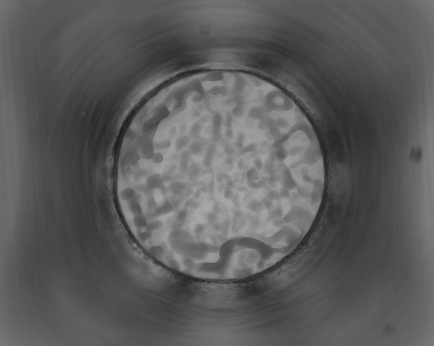 X0000091640856200708231157