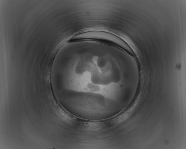 X0000091640857200708231157