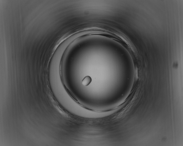 X0000091640858200708231157