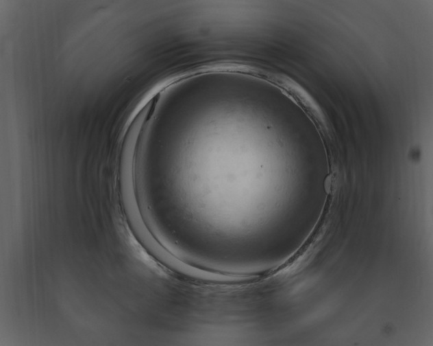 X0000091640860200708231157