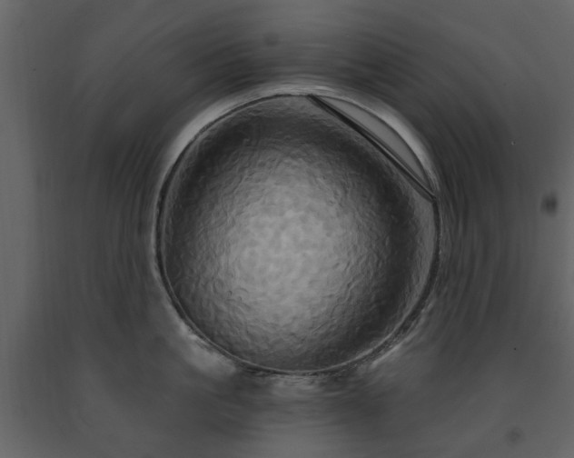 X0000091640861200708231157