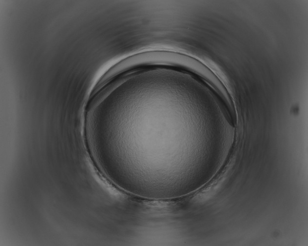X0000091640862200708231157