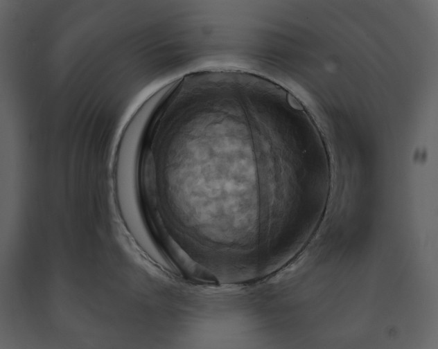 X0000091640864200708231157