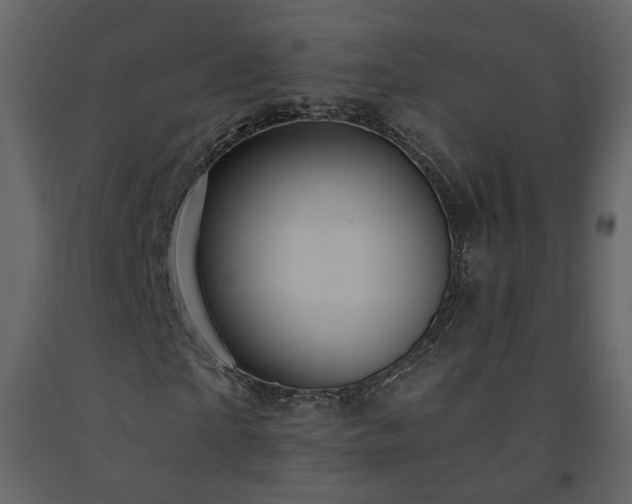 X0000091640865200708231156