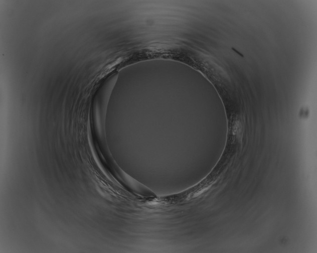 X0000091640868200708231156