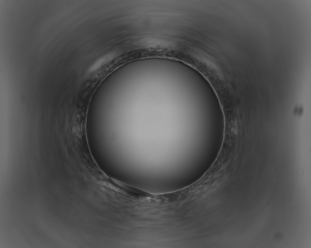 X0000091640869200708231156