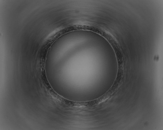 X0000091640870200708231156