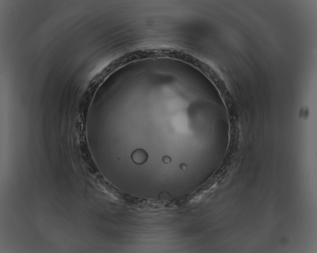 X0000091640871200708231156