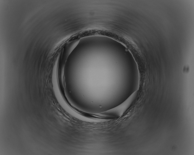 X0000091640872200708231156