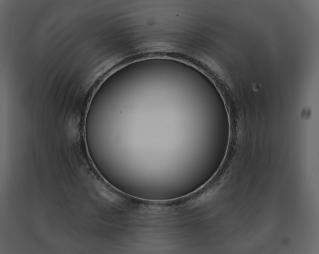 X0000091640873200708231156