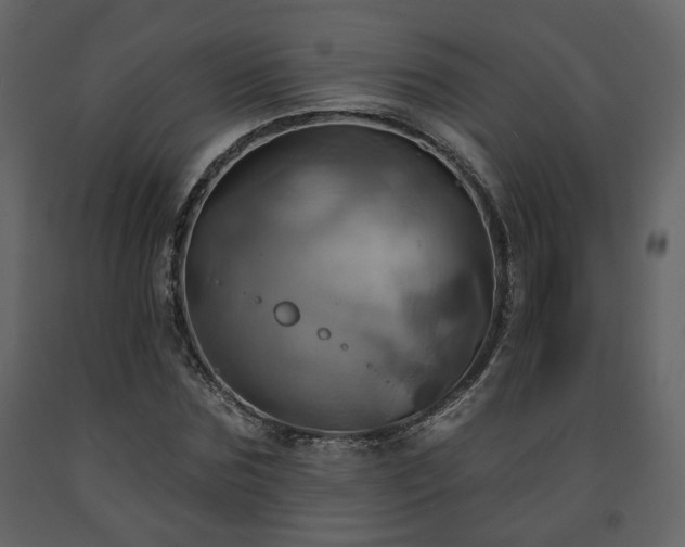 X0000091640875200708231156