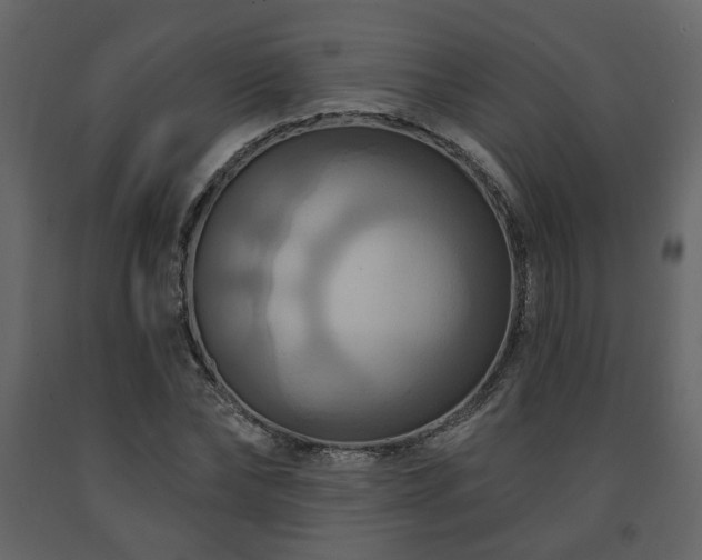 X0000091640878200708231156