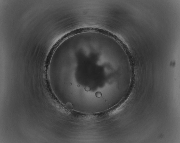 X0000091640879200708231156