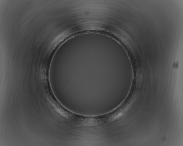 X0000091640881200708231156