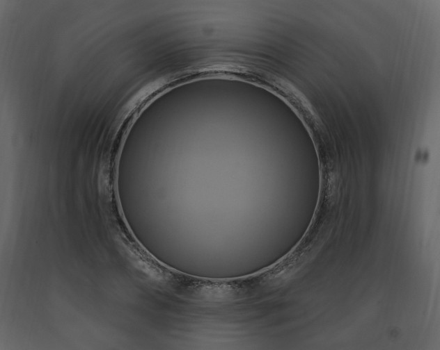 X0000091640882200708231156