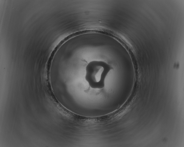 X0000091640883200708231156
