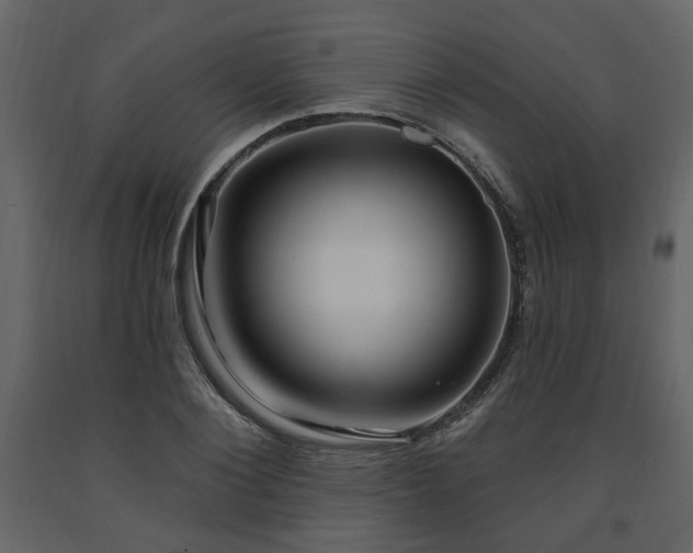 X0000091640884200708231156
