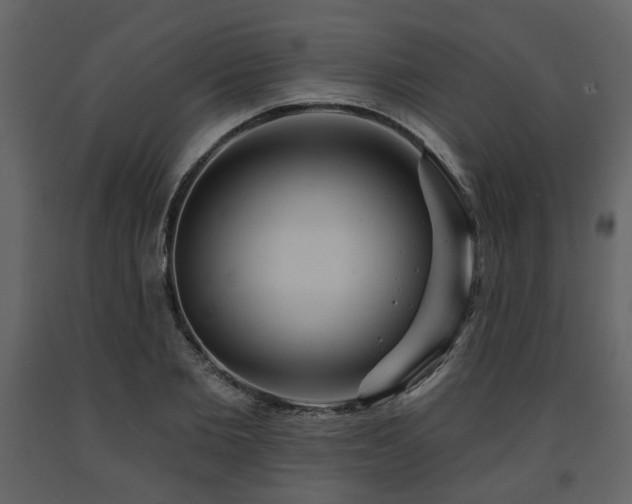 X0000091640885200708231156