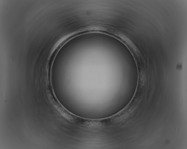 X0000091640886200708231156
