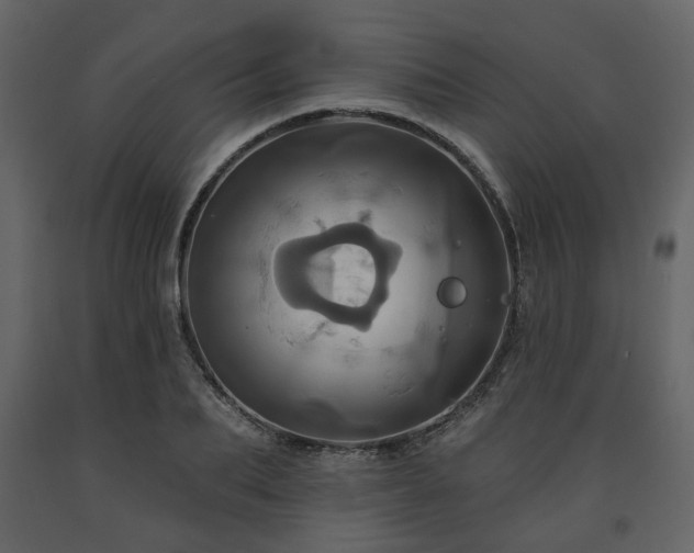 X0000091640887200708231156