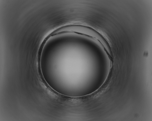 X0000091640888200708231156