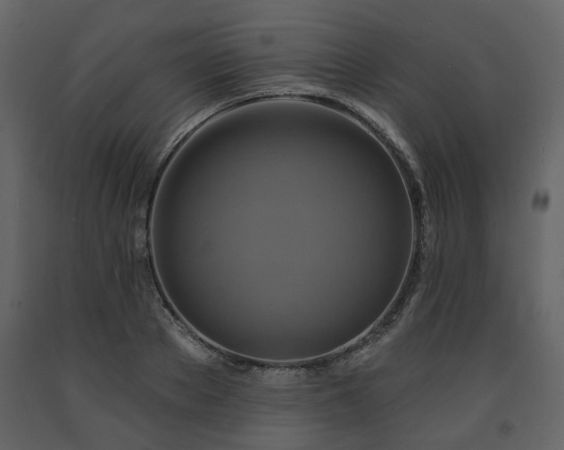 X0000091640889200708231156