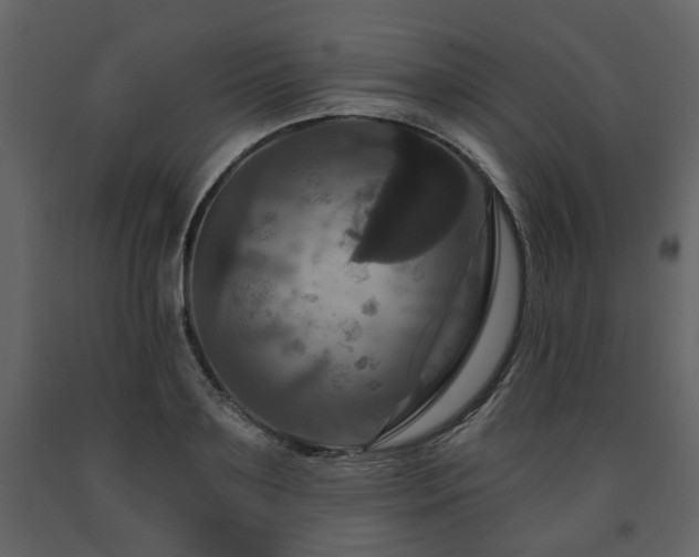 X0000091640891200708231156