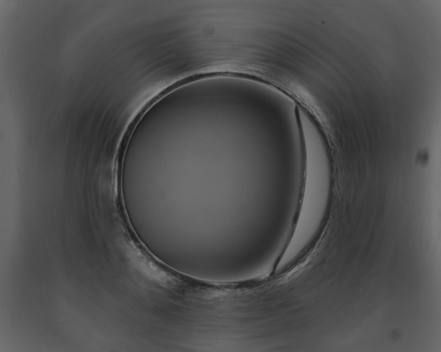X0000091640892200708231156
