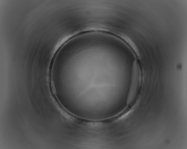 X0000091640893200708231156